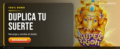 Premium casino experience