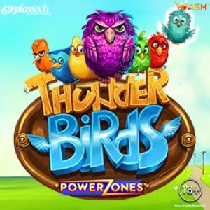 Power Zones Thunder Birds